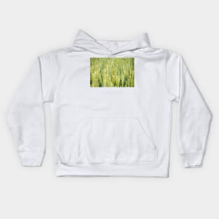 Common Wheat Kids Hoodie